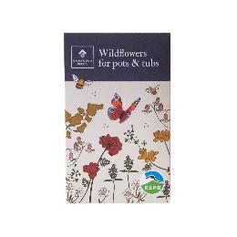 Wildflowers seeds for pots seed pack product photo