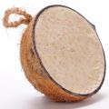 Super suet coconut halves - original, box of 20 product photo front T