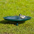Anywhere bird bath product photo ai4 T