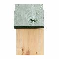 RSPB Apex classic nest box product photo ai4 T