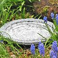 Aristotle Oasis bird bath & drinker product photo side T