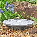 Aristotle Oasis bird bath & drinker product photo back T