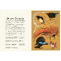 Aviarium by Dominic Couzens product photo ai5 T