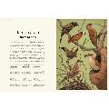 Aviarium by Dominic Couzens product photo ai4 T
