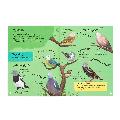 RSPB Big Garden Birdwatch activity book product photo ai5 T