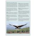 Birds of prey identifier chart - RSPB ID Spotlight series product photo back T