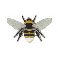 RSPB Wildlife pin badges, pack of 4 product photo front T