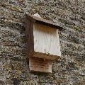 RSPB single chamber bat box product photo front T