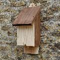 RSPB single chamber bat box product photo back T