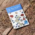 Dewdrop bee biome with wildflower seeds product photo back T