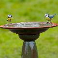 Echoes ceramic bird bath & stand product photo ai5 T
