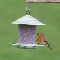 Eco beacon bird feeder product photo default T