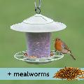 Eco beacon feeder with mealworms product photo default T