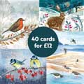 RSPB Fab 40 large box of Christmas cards product photo default T