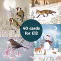 RSPB Fab 40 large box of Christmas cards product photo side T