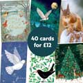 RSPB Fab 40 large box of Christmas cards product photo back T