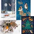 Fab forty RSPB charity Christmas cards - pack of 40 product photo side T