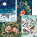 Fab forty RSPB charity Christmas cards - pack of 40 product photo back T