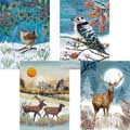 Fab forty RSPB charity Christmas cards - pack of 40 product photo front T