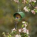 Flutter Butter® hanging feeder product photo front T