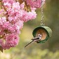RSPB Vegan Flutter Butter® starter kit product photo front T