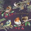 Garden bird Christmas cards, pack of 10 product photo default T