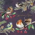 Garden bird Welsh Christmas cards, pack of 10 product photo default T