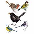 Garden birds window stickers product photo default T