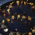 Gold palmi LED string lights product photo back T