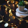 Gold palmi LED string lights product photo ai5 T