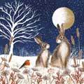 Hares by moonlight Christmas cards, pack of 10 product photo default T