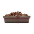 Hedgehog feeding station starter kit product photo front T