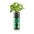 Basil Hydro-herb kit product photo default T