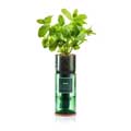 Mint Hydro-herb kit product photo default T