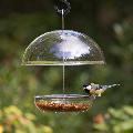 I Love Robins® large dome feeder product photo default T