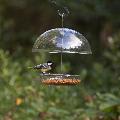 I Love Robins® large dome feeder product photo front T