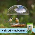 I love Robins® large dome feeder & dried mealworms product photo default T
