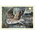 Marsh Owl jigsaw puzzle by Angela Harding, 1000-piece product photo side T