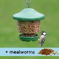 My favourites hanging bird feeder with mealworms product photo default T