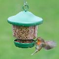 My favourites hanging bird feeder with mealworms product photo side T