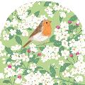 Robin in blossom greeting card product photo default T