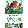 RSPB First book of birds product photo default T