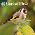 RSPB Garden birds calendar 2027 product photo default T