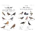 RSPB Garden birdwatcher's puzzle book product photo back T