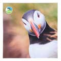 RSPB Puffin microfibre lens cleaning cloth product photo side T
