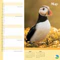 RSPB Inspiring nature calendar 2027 product photo side T