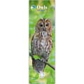 RSPB Owls calendar 2027 product photo default T