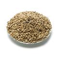 Premium sunflower hearts bird seed sack (12.75kg) product photo back T