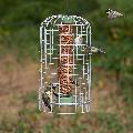 RSPB Ultimate suet pellet & peanut feeder and guardian, medium product photo default T