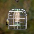 RSPB Ultimate suet pellet & peanut feeder and guardian, small product photo default T